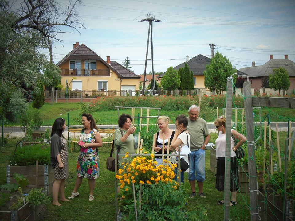 2016-os Virágos Magyarországért mozgalom zsűrije a szárazréti közösségi kertet szemlézi