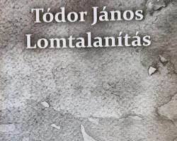 Lomtalanítás