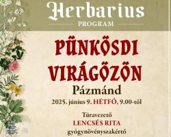 Pünkösdi virágözön - gyógynövénygyűjtő túra