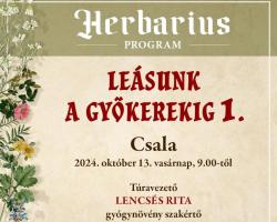 Leásunk a gyökerekig 1. – gyógynövénygyűjtő túra