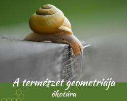 A természet geometriája-ökotúra