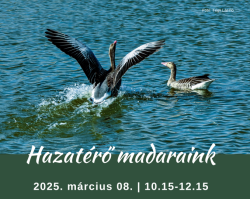 Hazatérő madaraink ökotúra