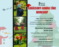 Karácsonyi Hawaii Tánc Worshop