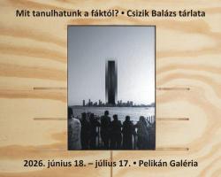 Mit tanulhatunk a fáktól?