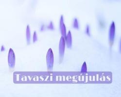 Tavaszi megújulás - Megtisztulás a jóga és az ájurvéda segítségével