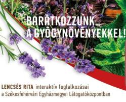 Barátkozzunk a gyógynövényekkel!