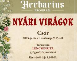 Nyári virágok – gyógynövénygyűjtő túra