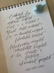 Modern Kalligráfia-ecsetfilccel