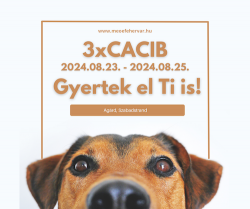 Székesfehérvári 3 x CACIB KUTYAKIÁLLÍTÁS