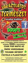 Varázslatos természet - tarantula expo és hüllő kiállítás