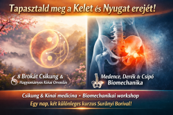 8 Brokát Csikung és Hagyományos Kínai Orvoslás alap workshop & 
